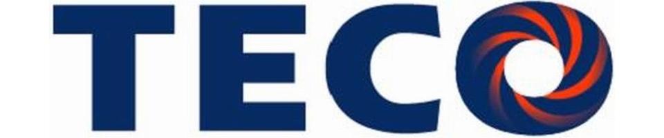  TECO Electric & Machinery (Thai) Co., Ltd.