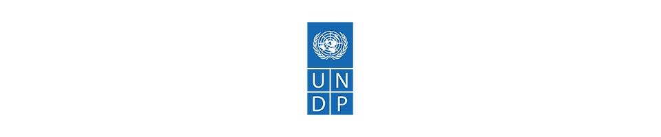  UNITED NATIONS DEVELOPMENT PROGRAMME (UNDP)