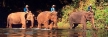 WWF Thailand Programme Office