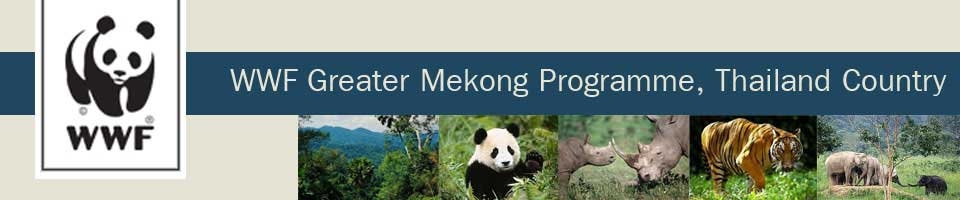  WWF Thailand Programme Office