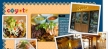 Eclipse Restaurants Ltd.